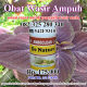 Illustration for article titled obat wasir